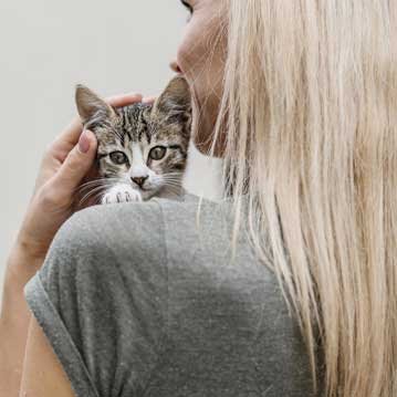 Recambio de espiras helicoidales en Alzira